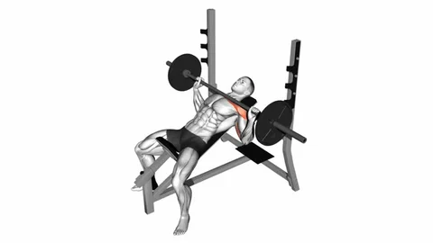 Incline Barbell Bench Press