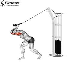 Cable Overhead Tricep Extension